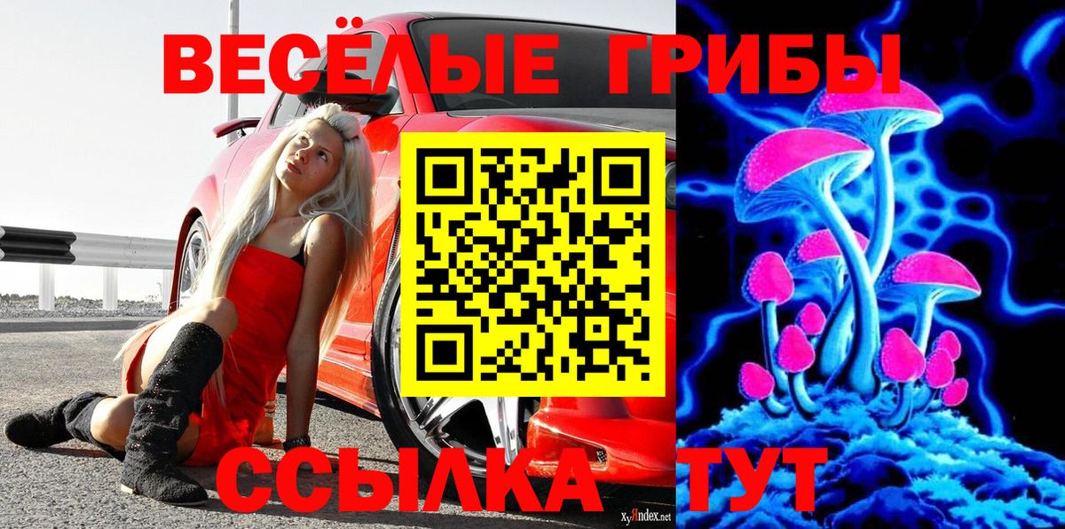 Камышлов  Псилоцибиновые грибы прущие грибы  Вход с VPN  Псилоцибиновые грибы мицелий 
